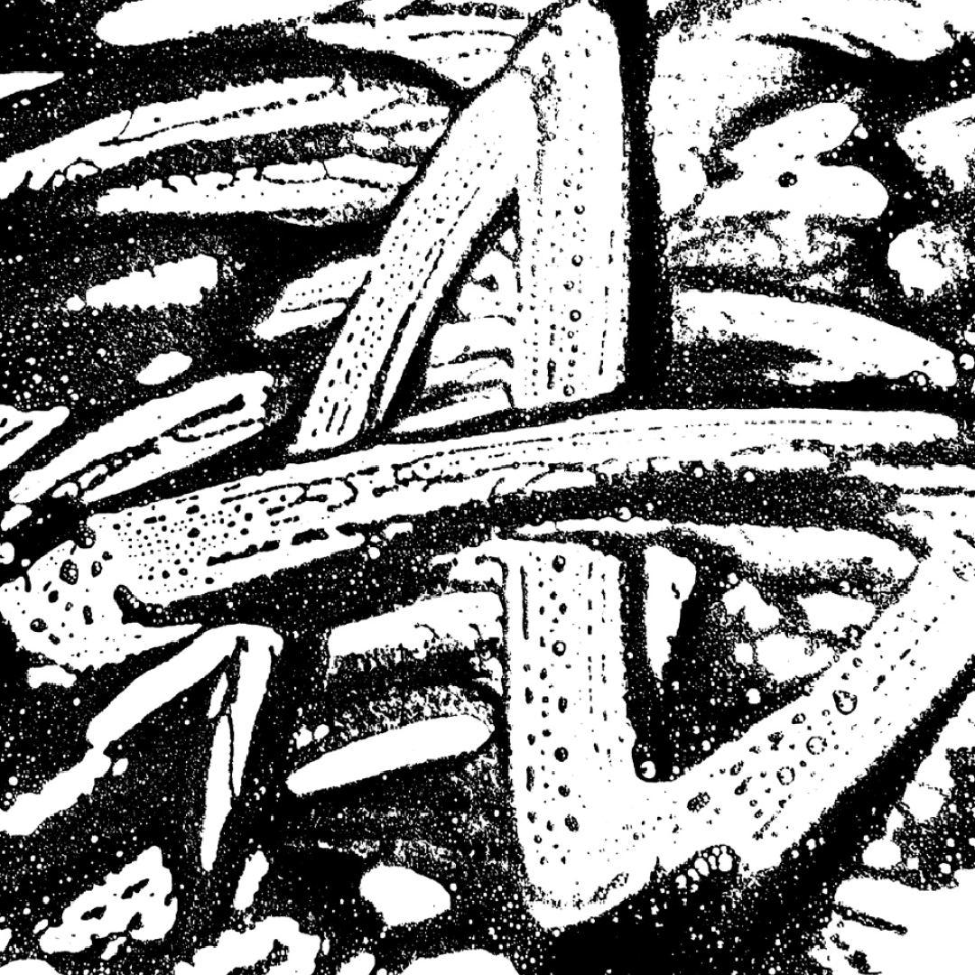 sty_Zeichenfläche 1 Kopie 4